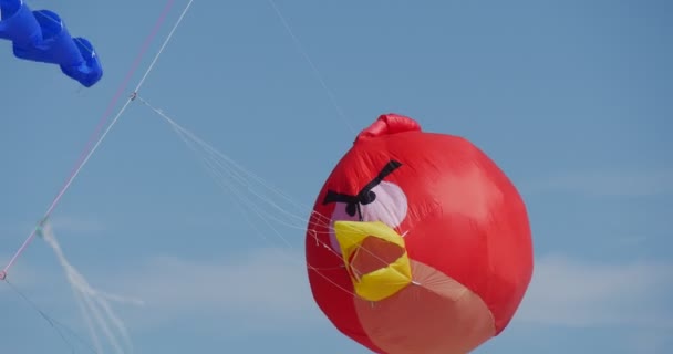 怒っている鳥の空気スイマー - レバの国際凧祭りですべての種類と形の凧、ポーランドの凧が空を飛んでいる . — ストック動画