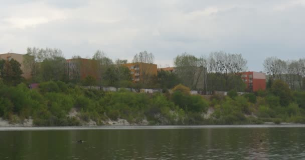 Casas Residenciales Amarillas Rojas en el Banco Frente a la Colina Verde Árboles Verdes Sin Hojas Otoño Otoño Río Ripling Water Swimming Mallards — Vídeos de Stock