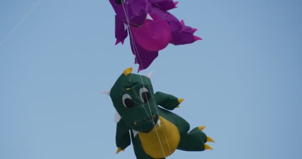 Plusieurs dinos attaqués à une corde - cerfs-volants et nageurs d'air de toutes sortes et formes sur le festival international de cerf-volant à Leba, Pologne . — Video