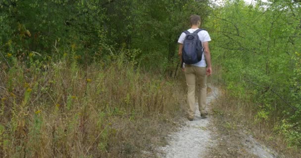 Человек-турист в белой футболке ходит по тропинке останавливается глядя ветку дерева касается листья Зеленый холм Заросший холм зеленые кусты — стоковое видео