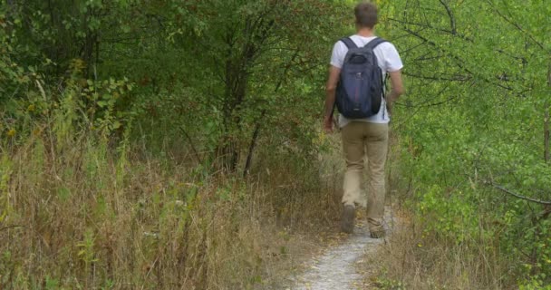 Muž turistické muž s batoh zpět pěšky daleko chlap v bílém tričku batohem je chůze od stezky v lese zelené křoví zelené stromy — Stock video