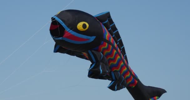 Nadador de aire de pescado negro - Cometas y nadadores de aire de todo tipo y formas en el festival internacional de cometas en Leba, Polonia.1 — Vídeos de Stock