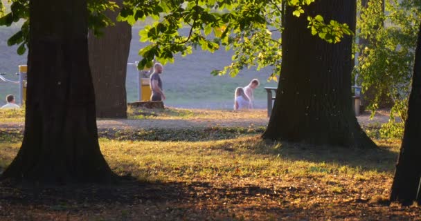 若者のグループは遠く日当たりの良い影を屋外で緑 Leavs 夏の夕方川公園樹木で、演習を行います — ストック動画