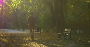 Man Park Alley Sun Rays Man's Siluet Adam Tarafından Away Walking Away Onun El Yaprak Durur Kapalı Yırtık Gül Durur Döner ve Yürümeye Doğru Çalışan