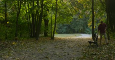 Adam Bench Man Oturuyor Yarı Döndü Adam Bench Tutarak Bench Etrafında Çalışan Ayağa Kalktı Kicks Fallen Leaves Kamera Doğru Yürüyüş