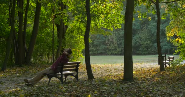 L'uomo è seduto alla panchina con Bouquet composto da foglie gialle L'uomo ha appoggiato la schiena alla panchina Indietro sollevato le mani dietro la testa gambe allungate — Video Stock