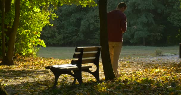 Człowiek jest chodzenie powoli wzdłuż pustego Bench Man trzyma żółte liście człowiek patrzy w dół na liście człowiek zamienia parę z Baby wózek z bliska — Wideo stockowe