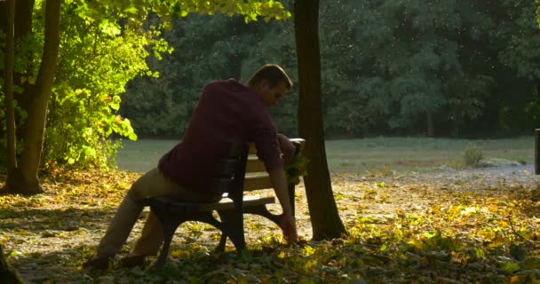 L'homme est assis sur le banc avec ses jambes tendues tenant des feuilles jaunes L'homme a croisé ses bras L'homme se retourne derrière le banc L'homme s'est relevé Promenades — Video