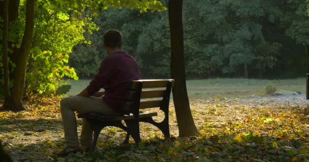 Man Has Pick Up Yellow Leaf Man is Walking to the Bench and Seats on It Man Has Pick Up Another Leaf Looking Around Looking at the Leaves Woman — Vídeo de stock