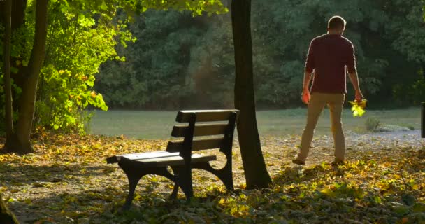 Man loopt door gevallen bladeren houden van het boeket gemaakt van bladeren gooit de bladeren uit de mens heeft sprong en begint te lopen zonnige dag herfst herfst — Stockvideo