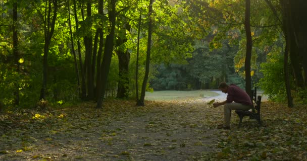 L'homme est assis sur le banc L'homme est à moitié tourné L'homme tient la feuille jaune L'homme s'est penché vers l'avant L'homme s'est penché à nouveau sur les sièges à feuilles 