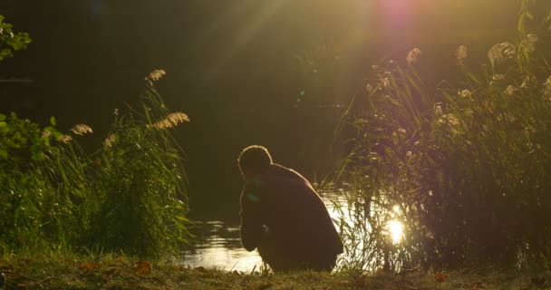 L'uomo tocca il cigno bianco L'uomo sta scendendo all'acqua al lago L'uomo sta camminando via Bank La silhouette dell'uomo al lago Overgrown Bank Green Reed — Video Stock