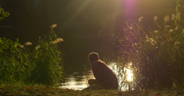 Muž se roztrhl na ostří dotýká se vodního muže dolů k vodě u siluety jezerního břehu jezera u Přepěstované banky zelený Reeda — Stock video