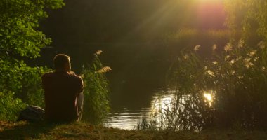 Sırt Çantası ile Man Geliyor Lake Bank Man's Siluet Wild Duck Swan De Oturur Lake Overgrown Bank Yeşil Reed Sun Yansıması yüzme