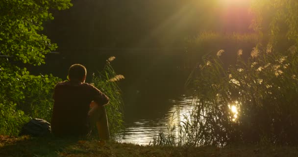 El hombre está sentado en el banco del lago cubrir su cara con la mano lanza un puño tres veces hablando por teléfono móvil Silueta del hombre Overgrown banco caña verde — Vídeo de stock