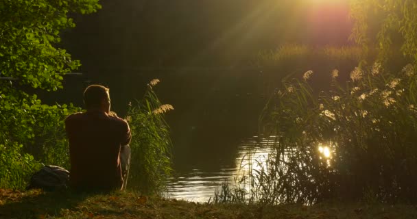 Hombre con mochila viene se sienta en la silueta del hombre del banco del lago Wild Duck Swan está nadando en el lago Overgrown Bank Green Reed Sun 's Reflection — Vídeo de stock