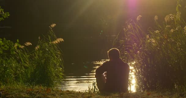 Mann sitzt am Ufer des Sees und blickt auf die Silhouette des weißen Schwans. Weißer Schwan schwimmt am See, am Ufer spiegelt sich die grüne Schilfsonne — Stockvideo