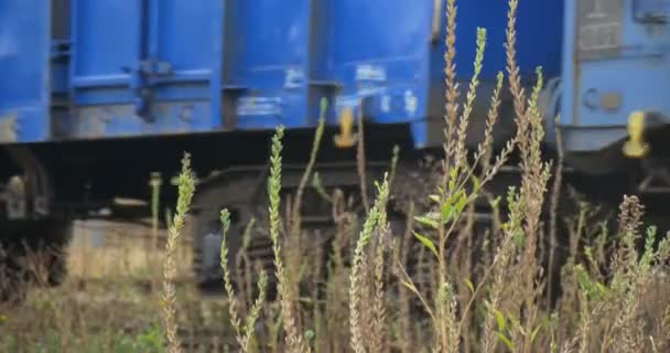 Довгий вантажний поїзд рухається по залізничній колії сині вантажні вагони крупним планом рейки суха трава хмарний осінній день — стокове відео