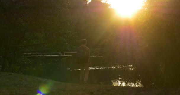 Człowiek przychodzi do Lake Bank Man z plecak turystyczny jest chodzenie patrząc na jezioro słońce świeci do sylwetki Camera Man's Silhouette drzewa — Wideo stockowe
