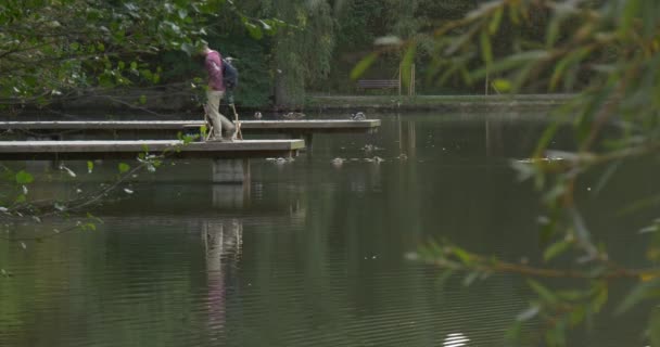 バックパックを持つ男はデッキチェアの近くに木製の桟橋に座っている男は、彼のバックパックを取って立ち上がり、遠く川の湖で桟橋を歩いて立ち上がった — ストック動画