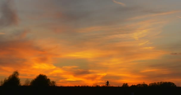 Mann mit Fahrrad Männersilhouette am gegenüberliegenden Ufer Mann mit Fahrrad Nahaufnahme knallgelber Sonnenuntergang am Fluss bunte Wolken Zirrusbäume Silhouetten — Stockvideo