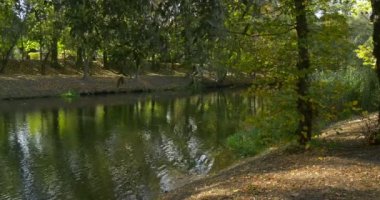 Nehir Su Yeşil Çim Yeşil Çalılar Yeşil Ağaçlar Su Yamaç Nehri Bankası Mavi Gökyüzü Yansıma Sunny Day Yaz Su Ağaçları 'Yansıması Dalgalanan