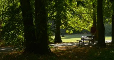 Sırt Çantası Turist ile Man Bench tarafından Park Alley Yürüyüş Yavaş Yavaş Yürüyor Cameratouches Yeşil Brench Sunny Day yaklaşan Footpath döner