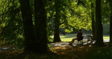 Man Onun Bacaklar Gergin Freelance Programcı Tasarımcı Copywriter Muhasebeci ile Bench oturuyor Onun Laptop Çalışma Parkı Alley Tree Trunks açıldı