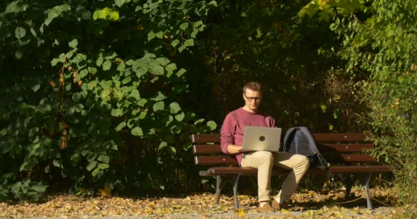 Człowiek w okularach siedzi na ławce praca z laptopem freelance Programmer Projektant copywriter księgowy skłonny do ziemi podniósł żółty liść — Wideo stockowe