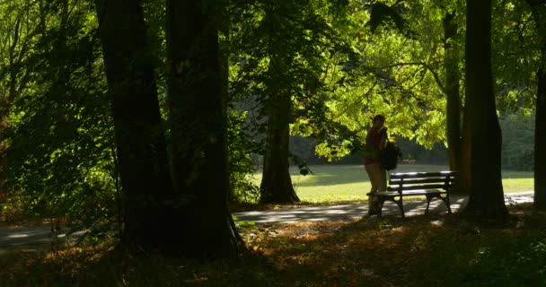 男子在长凳上离开自由程序员设计师文案员会计把他的背包和步行离开公园巷树干阳光 — 图库视频影像