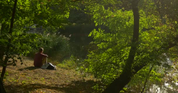 El hombre con el ordenador portátil está sentado en el lago Banco Programador independiente Diseñador Copywriter Contador está trabajando con el ordenador portátil volvió a funcionar Mochila — Vídeo de stock