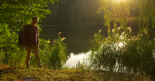 Человек в очках с рюкзаком приходит к озеру Берега Лес Человек стоит лицом к солнцу глядя на солнце воды Сияет ярко рябь зеленый тростник — стоковое видео