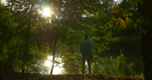 Silueta člověka přichází k lesnímu jezeru banka muže vzadu se dívá na vodu, jak kráčí dolů k jezeru a na chvíli se vzdaluje — Stock video