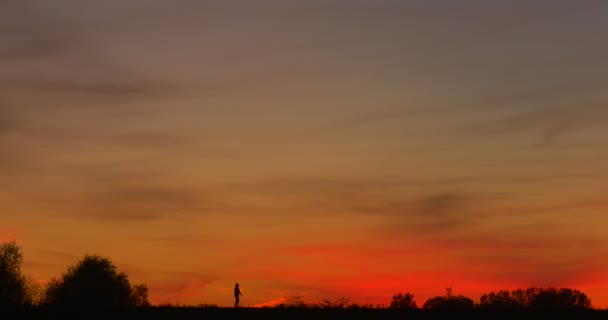 Man kvinna silhuett av person går på en horisont silhuett vid solnedgången ljusa orange himmel kväll twilights buskar silhuetter utomhus — Stockvideo