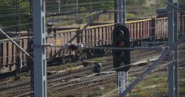 Uzun Yük Treni Demiryolu Demiryolu İletişim Ağı Semaphore Trafik Işıkları Demiryolu Rayları Yeşil Ağaçlar Bulutlu Sonbahar Günü Opole Polonya On Uzun Yük TrenI Hamle