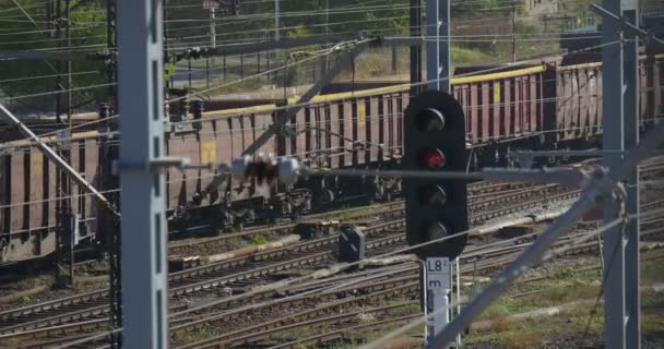 Långa godståg flyttar på järnvägen spår järnväg kontaktnät semaphore trafikljus järnvägsspår gröna träd molnigt höstdagen Opole Polen — Stockvideo