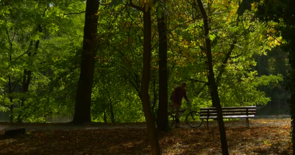 Man Stood Up From The Bench Put on His Backpack Got on the Bicycle and Riding Away Tourist Sportsman Park Árvores Verdes Dia ensolarado Queda Folhas secas — Vídeo de Stock