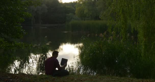 男人坐在湖工作与笔记本电脑放笔记本电脑看湖自由职业者程序员文案设计师会计站起来树 — 图库视频影像