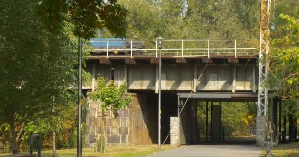 Fraight pociąg wagony platformy pociąg porusza się koleją most asfaltowej drogi jest pod most tunel most wspiera zielone drzewa Sunny Day Fall — Wideo stockowe