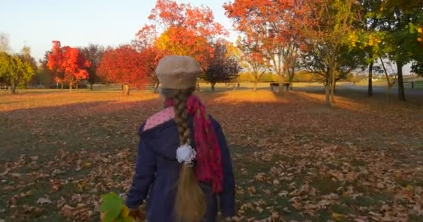 Kleines Mädchen in Baskenmütze und blauer Jacke geht am Rücken des Parkmädchens spazieren Zoom in Mädchen hält den Strauß aus bunten grünen und gelben Blättern Sonnenuntergang