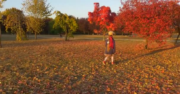 Malá holčička v Beret a v Blue bundě kráčí po parku Lupa dívčí zadní dívka kráčí ke stromu s červenými listy a vybírá listí v Sunset