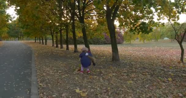La petite fille au béret et à la veste bleue se tient debout Zoom avant tenant un bouquet composé de feuilles d'érable parlant marchant dans le parc s'approchant de la caméra 
