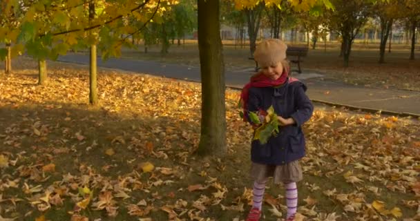 Liten flicka med rättvis fläta flicka i basker och jacka gör en bukett av löv räta ut bladen och pratar något bänk Park gränd — Stockvideo
