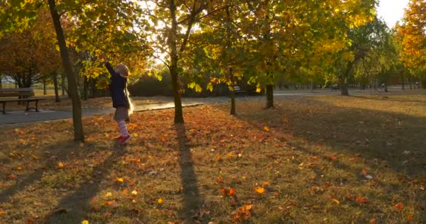 Маленькая девочка со светлой косой девушка в берете прыгает, чтобы выбрать лист из ветки дерева высокие девушки прогулки в нижней ветке делает букет листьев — стоковое видео