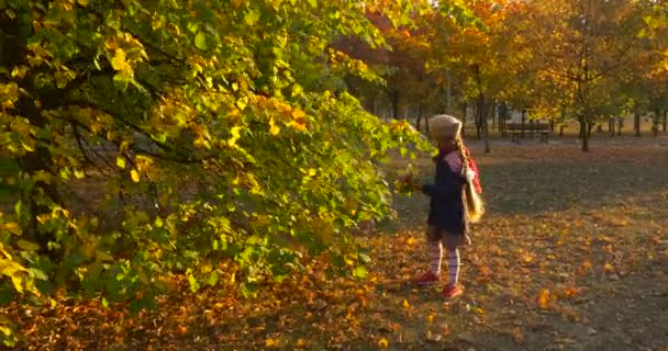 Μικρό κορίτσι με όμορφη κοτσίδα κορίτσι σε μπερέ και μπουφάν είναι στέκεται στο δέντρο και κρατώντας το μπουκέτο που αποτελείται από τα φύλλα έχει Θροι στο έδαφος — Αρχείο Βίντεο