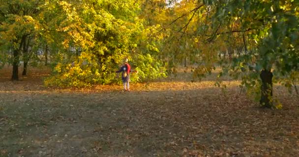小女孩与公平的布雷德女孩在贝雷和夹克是走在公园走向树和采摘叶子到她的花束由黄叶 — 图库视频影像
