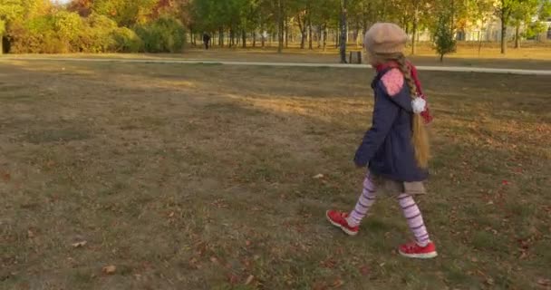 Niña con trenza rubia Niña en boina Bufanda roja y chaqueta está caminando por hierba seca en el parque sosteniendo un ramo de hojas y flores arbustos verdes — Vídeos de Stock