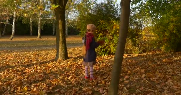 Fille choisit les feuilles pour son bouquet ramasse et jette vers le bas Petite fille avec tresse blonde dans le béret Foulard rouge et veste marche dans le parc 