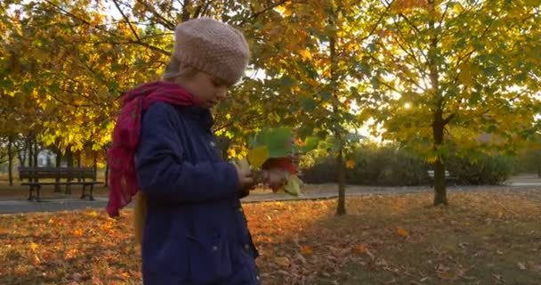 ベレーとジャケットのフェアブレードガールを持つ小さな女の子が立って、公園の路地で黄色いメープルの葉の空のベンチで構成された彼女の花束を見ています — ストック動画