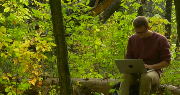 Man in Glasses is Sitting on a Fallen Tree Trunk Freelancer Programmer Copywriter Designer Accountant is Working with Laptop Man Has Turned His Head — Stock Video